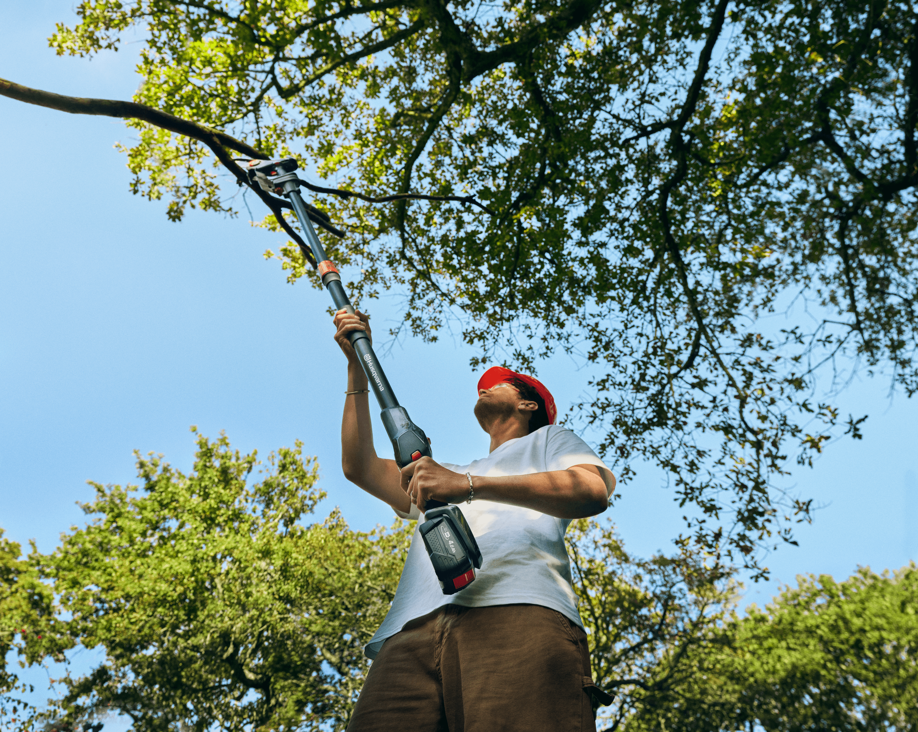 Aspire™ Pruner 18V + Pole Without Battery and Charger image 1