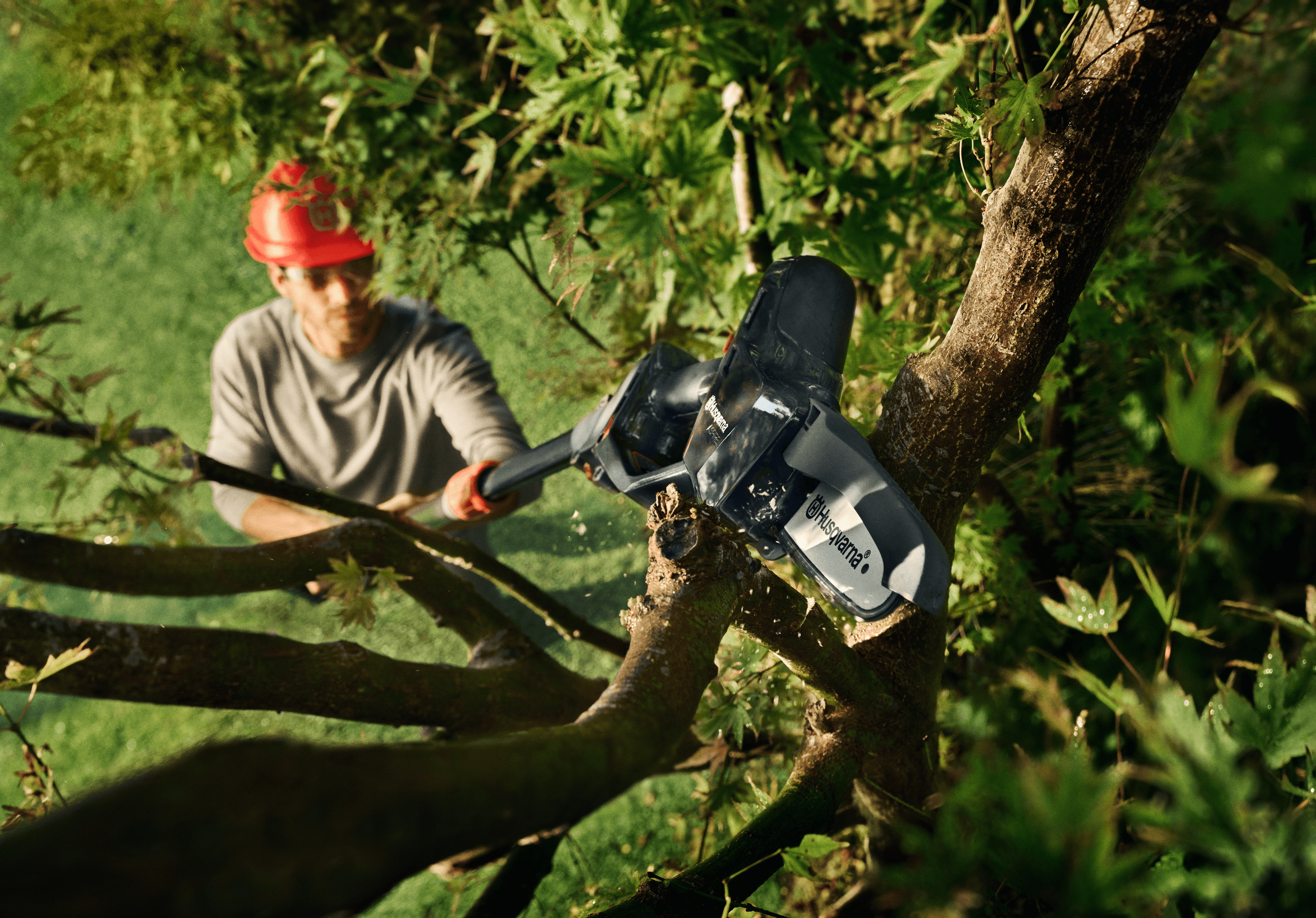 Aspire™ Pruner 18V + Pole Without Battery and Charger image 2